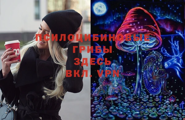 apvp Богородск