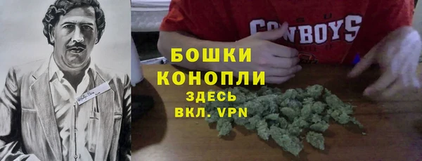 apvp Богородск