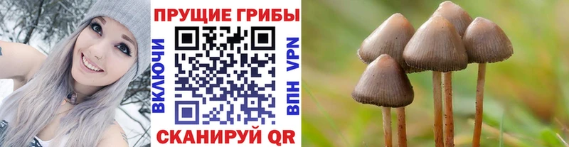 Купить где  Апрелевка  Галлюциногенные грибы мицелий 