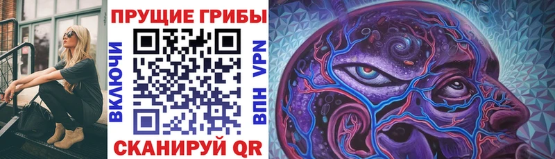 Галлюциногенные грибы Magic Shrooms Апрелевка